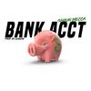 Shaun Mecca - Bank Account