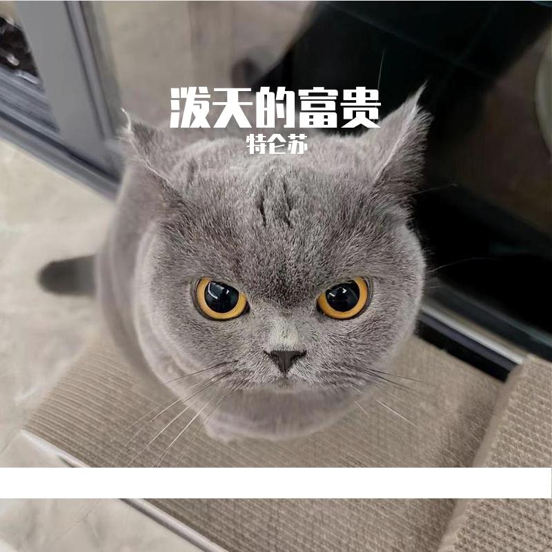 泼天的富贵