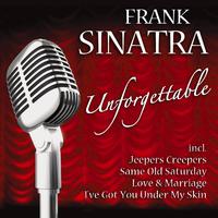 Unforgettable - Frank Sinatra (unofficial Instrumental)