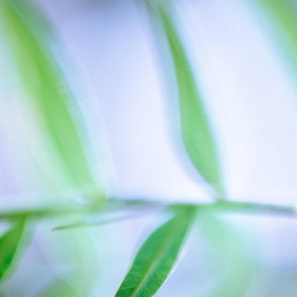 晴天的晚安音乐