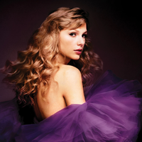 Taylor Swift - I Can See You (SE Instrumental) 无和声伴奏