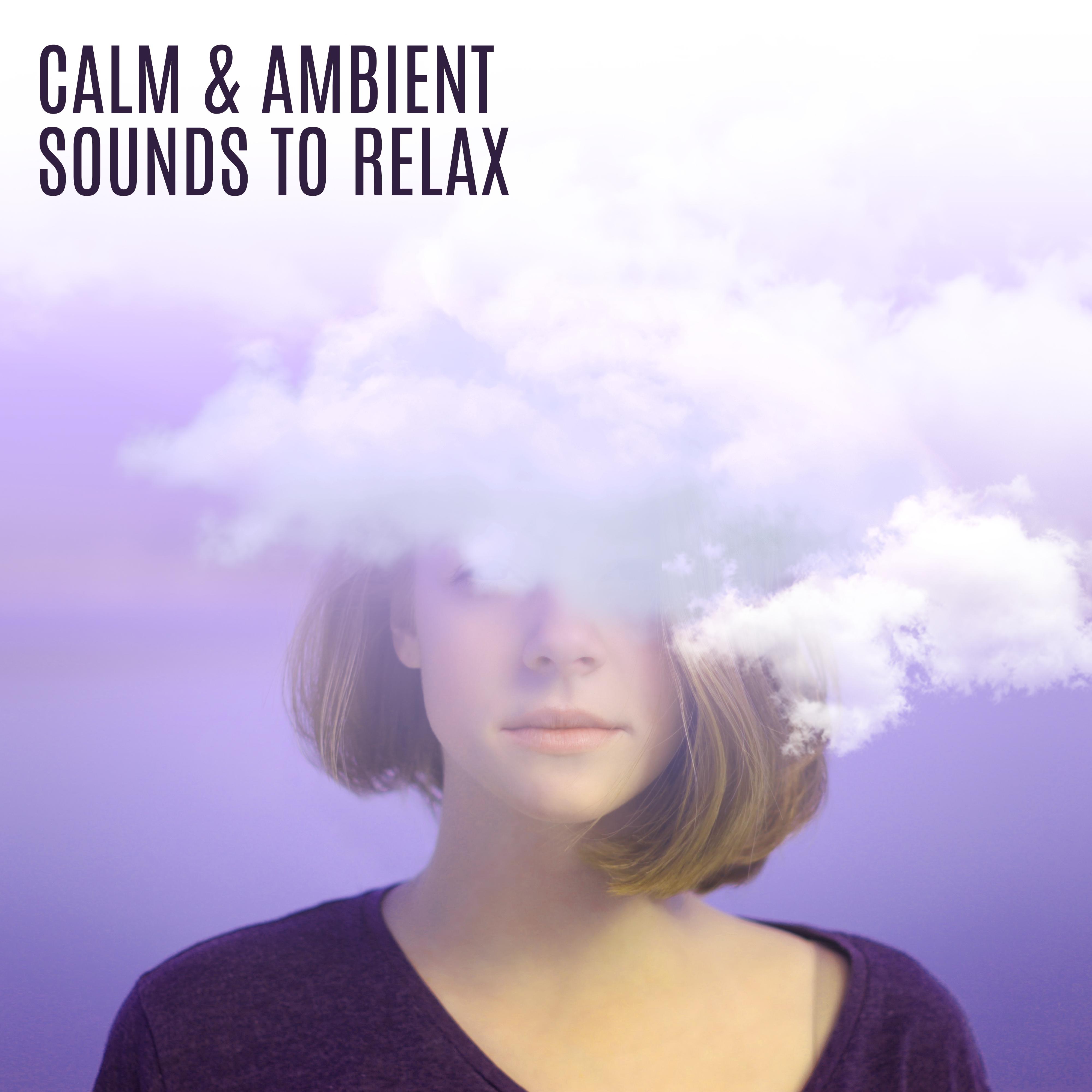 Calm & Ambient Sounds to Relax – Stress Relief, Music to Calm Down, Peaceful Mind, New Age Relaxatio专辑