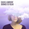 Calm & Ambient Sounds to Relax – Stress Relief, Music to Calm Down, Peaceful Mind, New Age Relaxatio