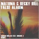 False Alarm (Roman Müller & Bibiane Z Remix)专辑