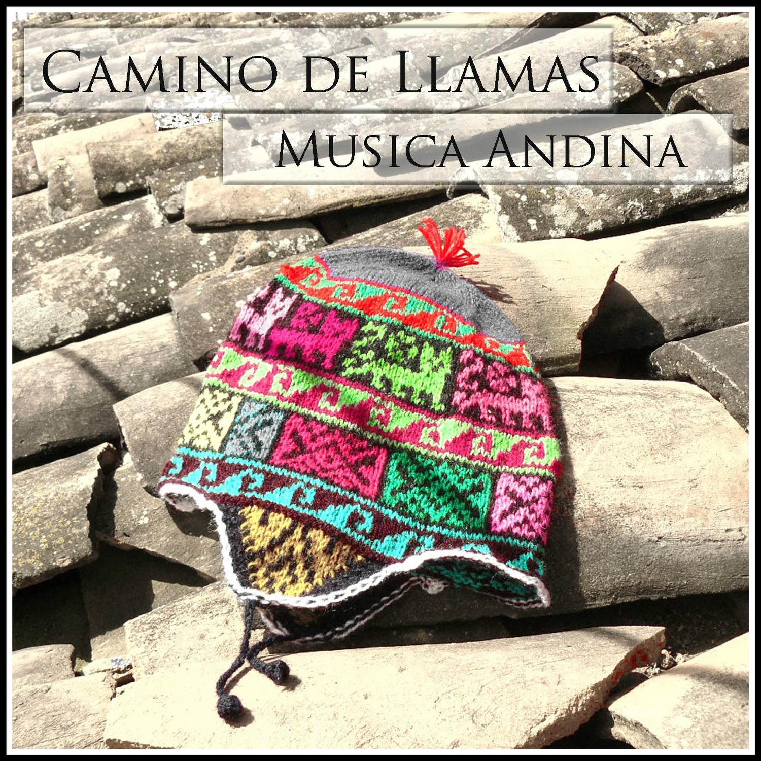 Camino de Llamas - Musica Andina