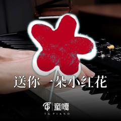 送你一朵小红花 钢琴版（翻自 赵英俊）