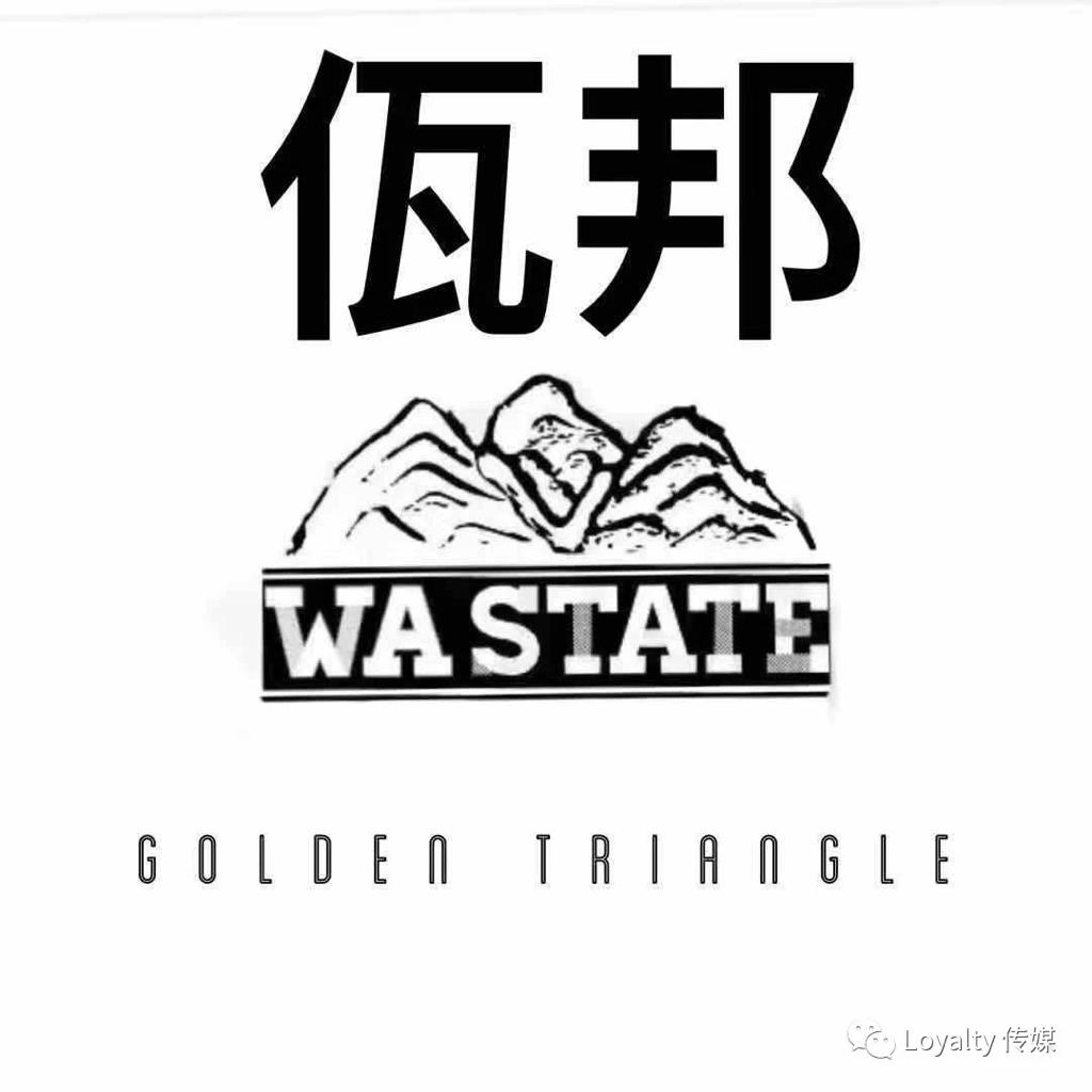 “缅甸佤邦118国际专属电音DJ”