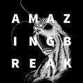 AMAZING BREAK