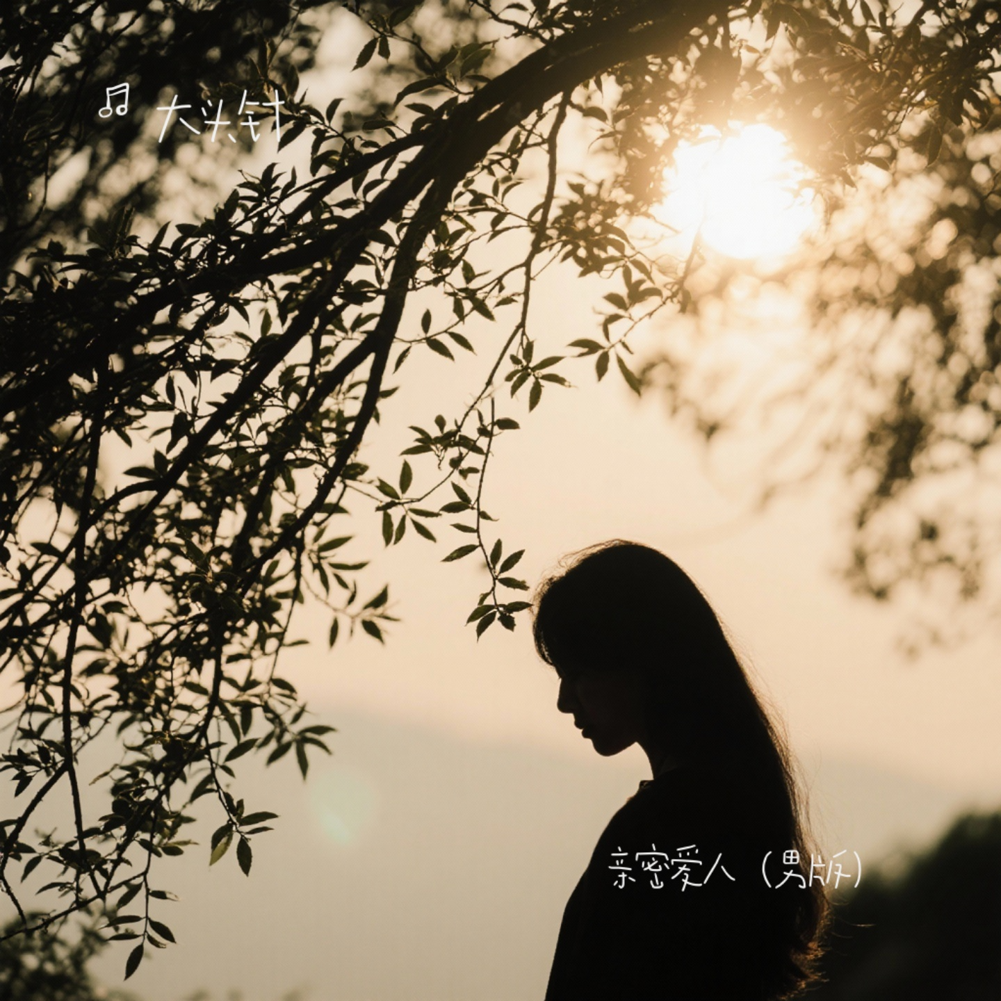 活个明白（男生版）