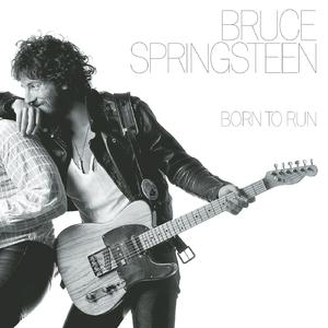 Bruce Springsteen - She's the One (Karaoke Version) 带和声伴奏 （降8半音）