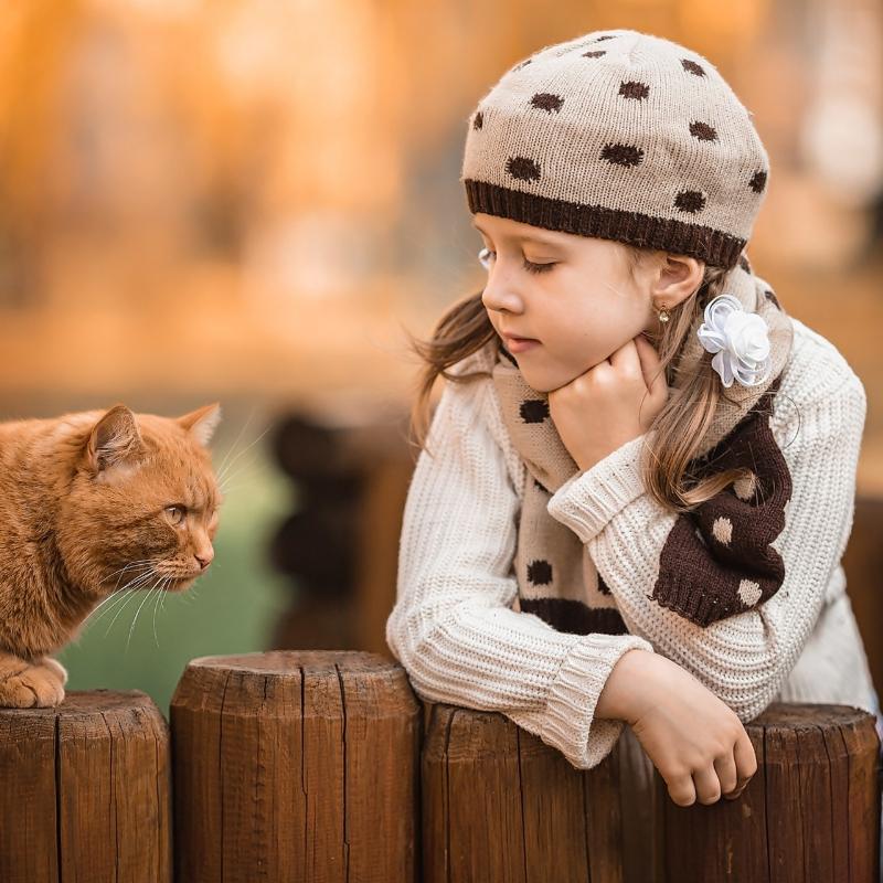 动物儿歌 | 给0-3岁宝宝听 走进儿歌中的动物乐园