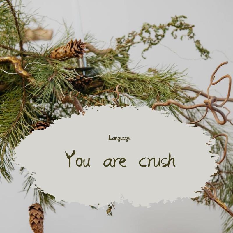 You are cursh