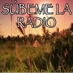 SÚBEME LA RADIO (REMIX) - Tribute to Enrique Iglesias, Sean Paul and Matt Terry专辑