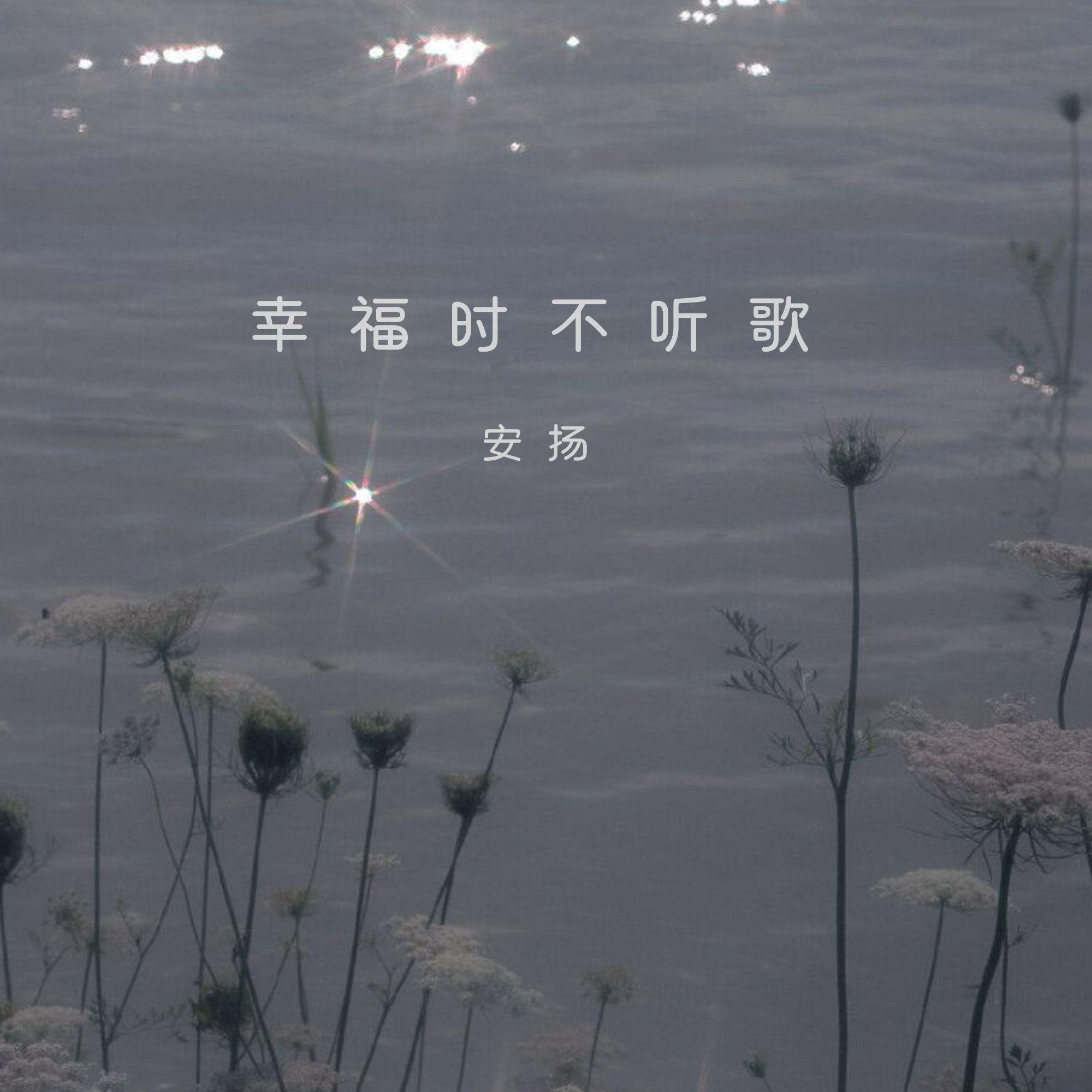 幸福时不听歌专辑