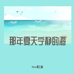 那年夏天宁静的海