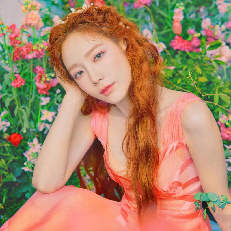 K-pop Performed | 换个角度听熟悉的K-pop