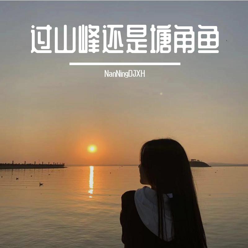 过山峰还是塘角鱼