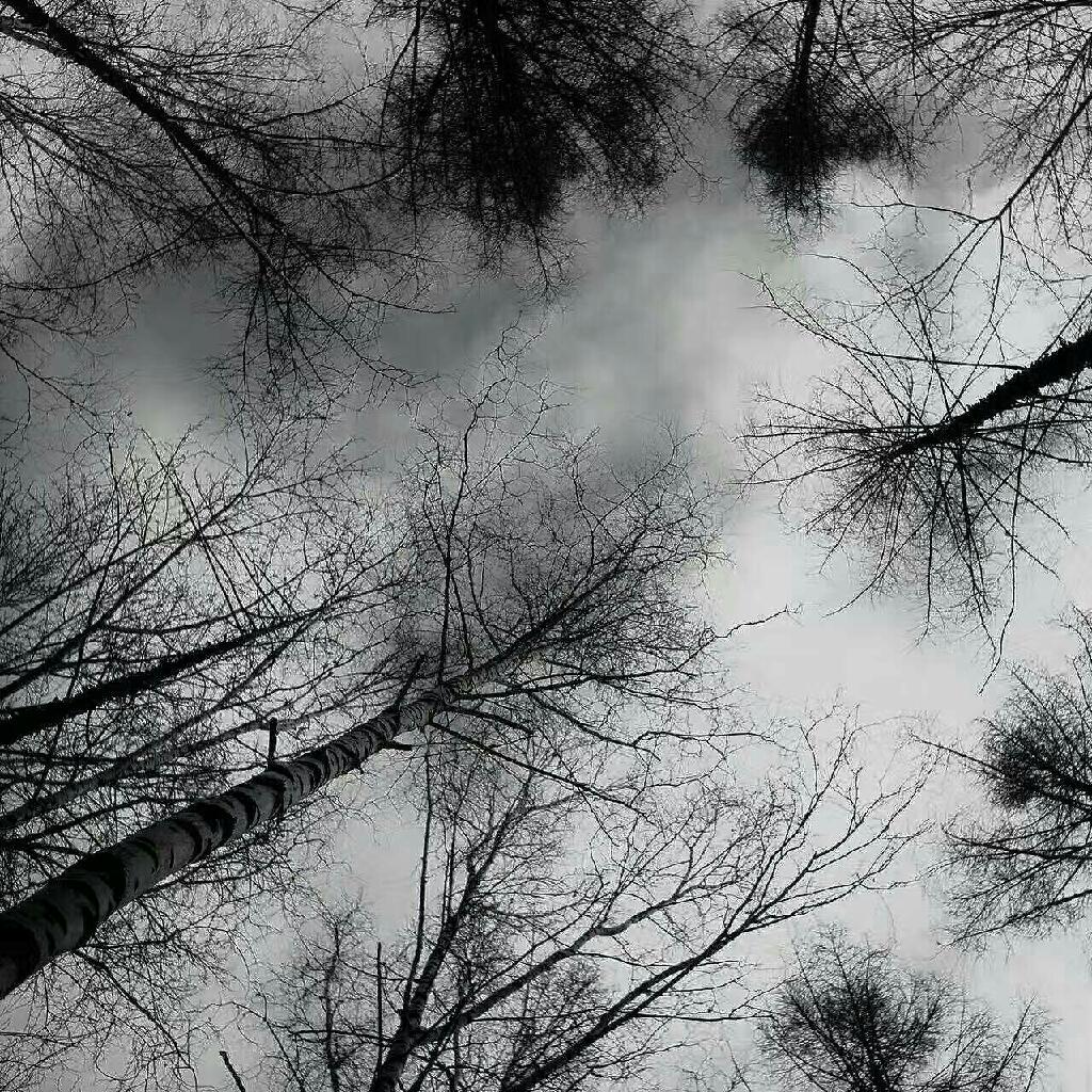 Depressive/Suicide