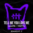 Tell Me You Love Me (Remixes Pt. 2)