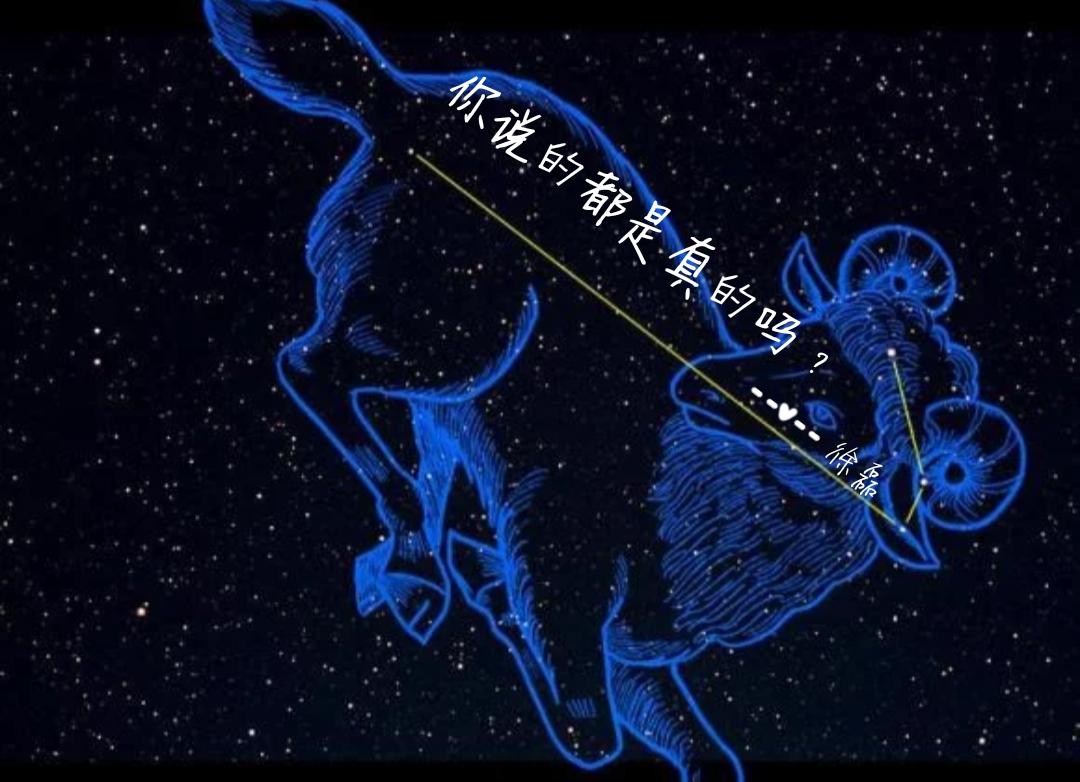 你说的都是真的吗？专辑