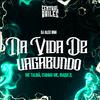 DJ Alex BNH - Na Vida De Vabagundo