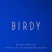 Wild Horses (Matrix & Futurebound Remix)