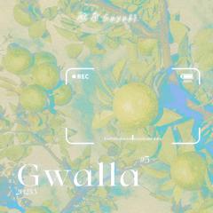 Gwalla（翻自虞书欣）