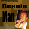 Beenie Man - Mi Love Tune