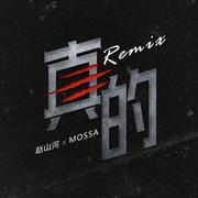 赵山河-真的（REMIX）（一指团体Afinger / Mossa李旭 / 赵山河 remix）