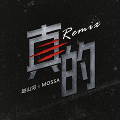 赵山河-真的（REMIX）（一指团体Afinger / Mossa李旭 / 赵山河 remix）