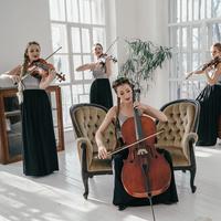 Orchestra for Relaxation: Tranquil Symphonic Melodies