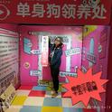 假装快乐的单身狗专辑