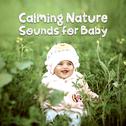 Calming Nature Sounds for Baby专辑