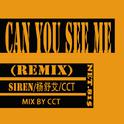 Can you see me（remix）专辑