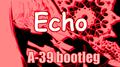 Gumi-Echo(A-39 bootleg)专辑