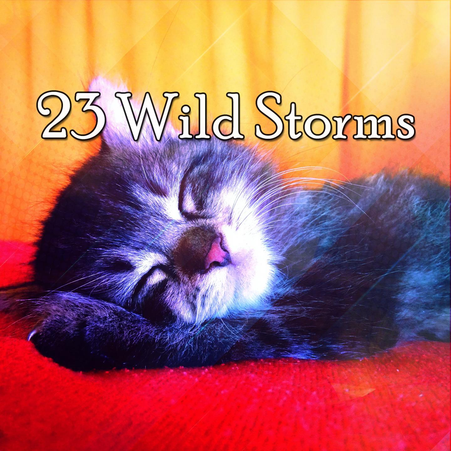 23 Wild Storms专辑