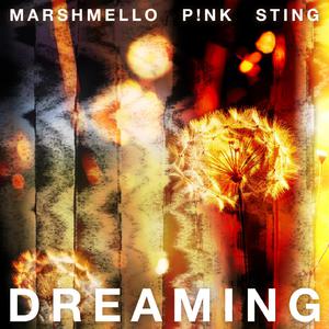 Marshmello & P!NK & Sting - Dreaming (VS karaoke) 带和声伴奏
