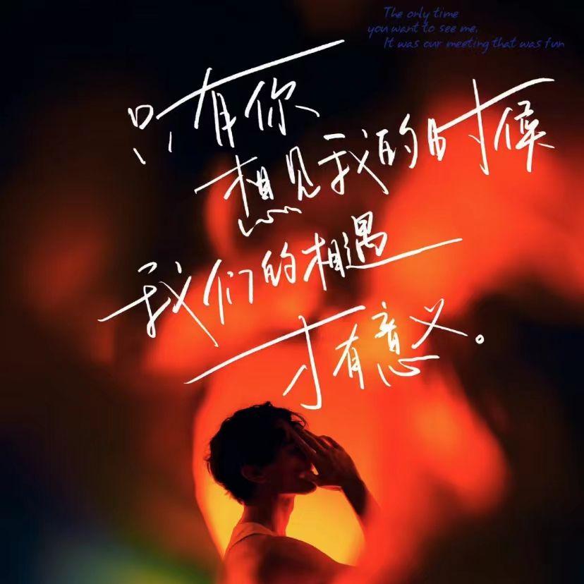 孤单的愈合
