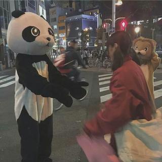 双鱼座的单曲循环