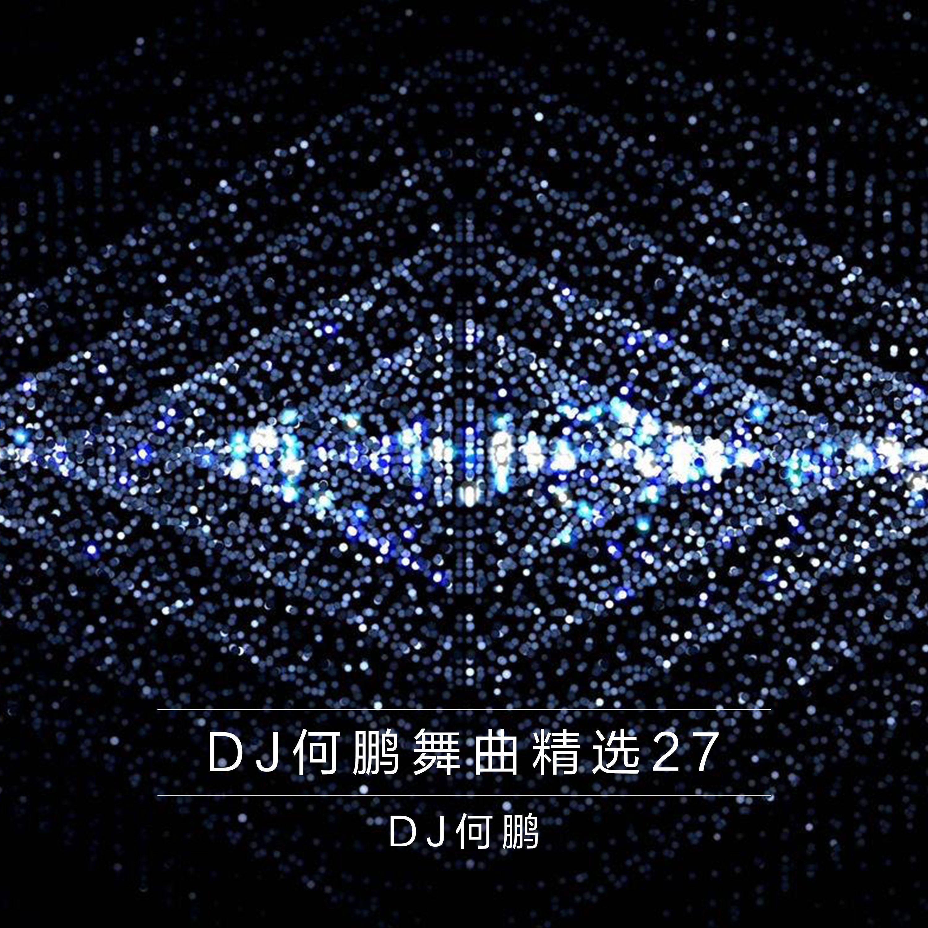 DJ何鹏舞曲精选集27专辑