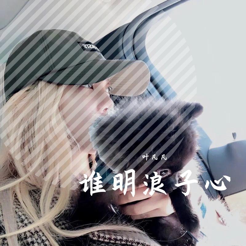 谁明浪子心