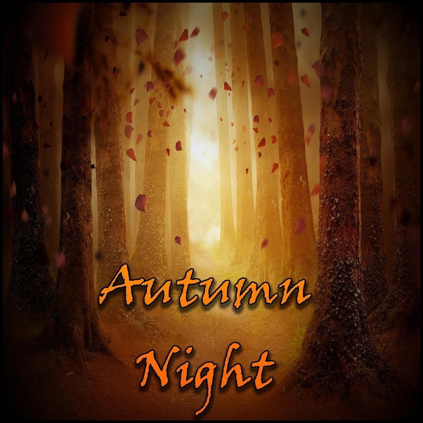 Autumn Night
