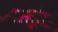 Night Forest专辑