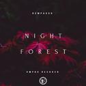 Night Forest专辑
