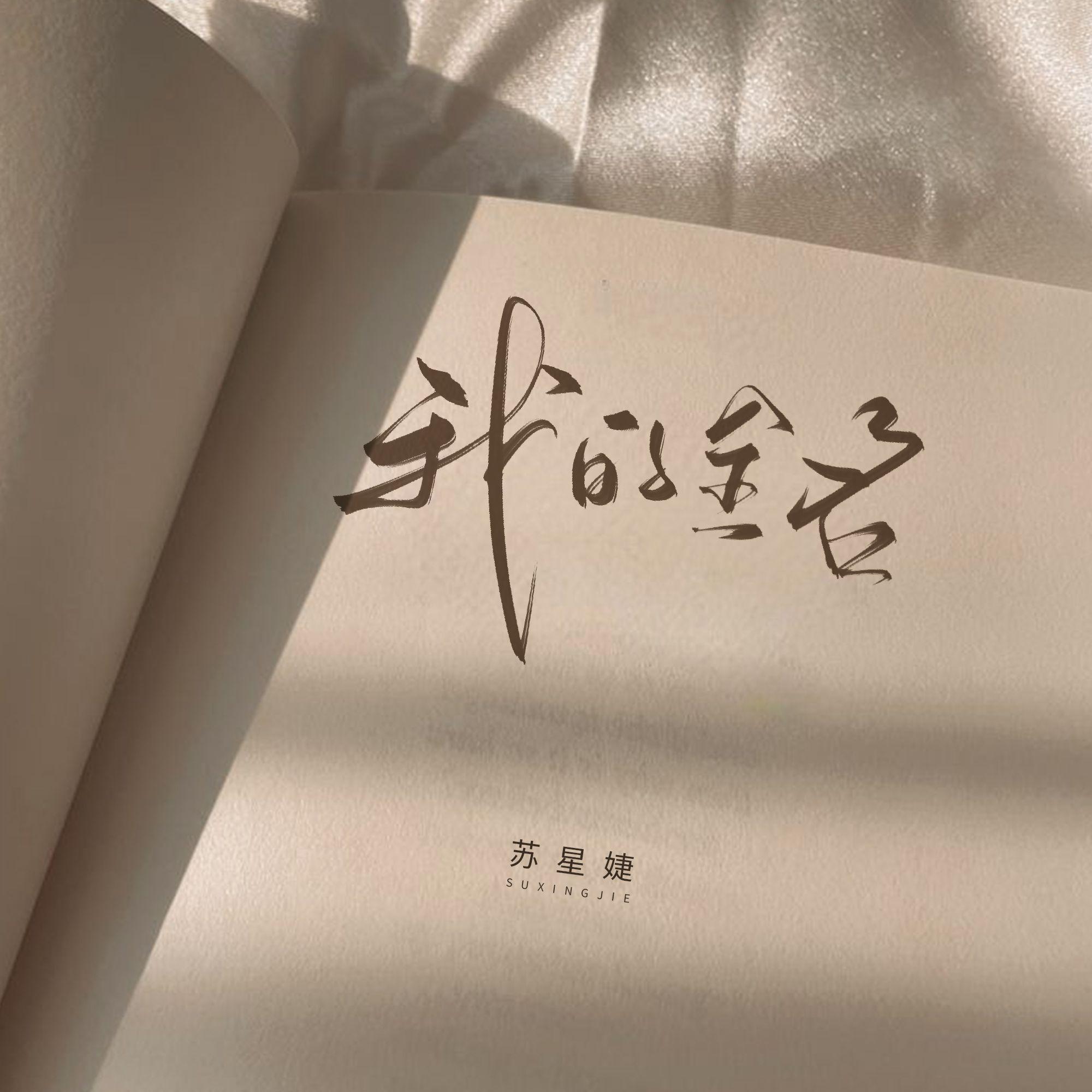 我的全名
