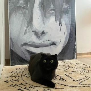 「旋律Rnb」 | 律动跳动指尖 丝滑至极