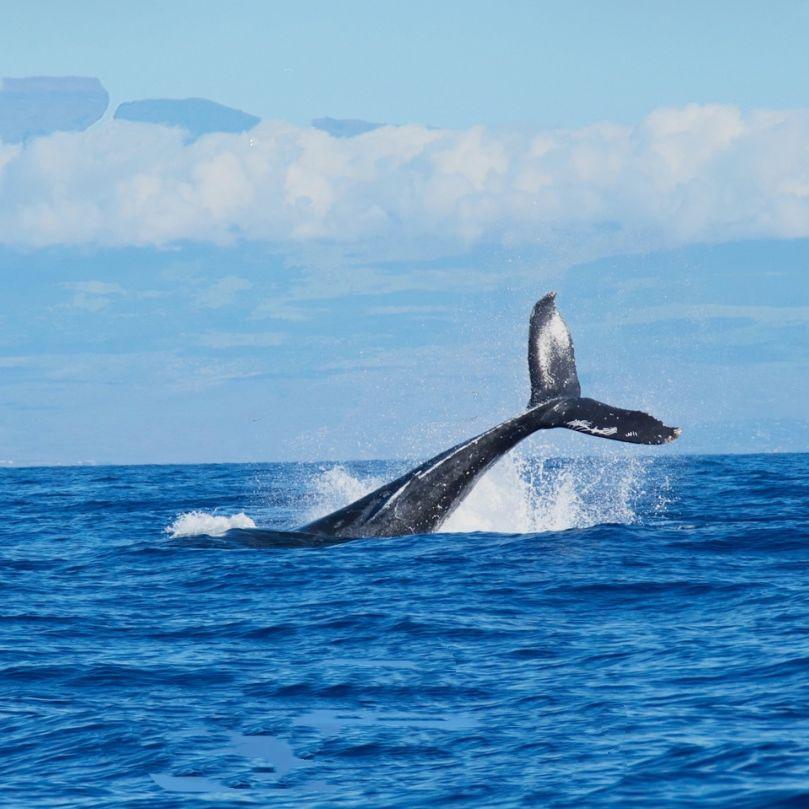 一直很安静（acoustic guitar）