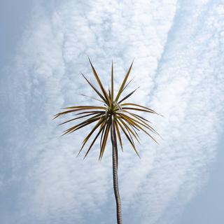 『电子美学』钢琴元素与电音的巧妙撞击.