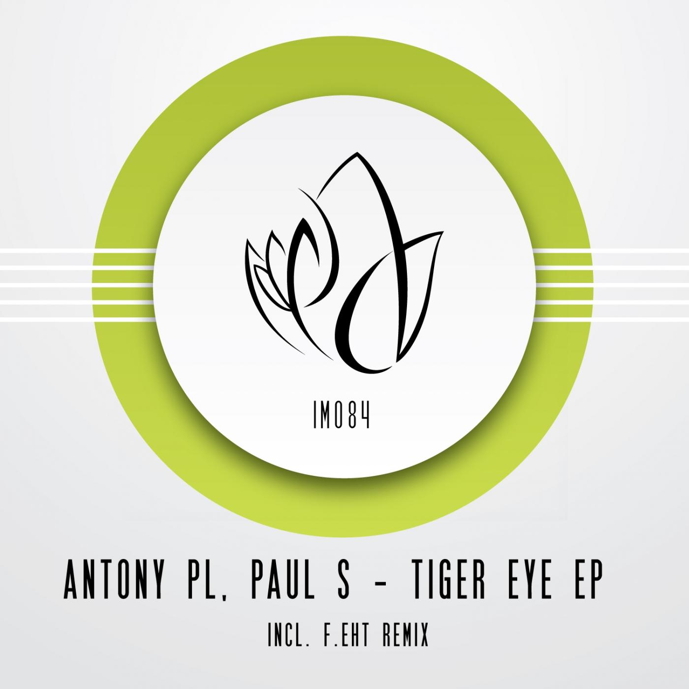 Paul S - Tiger Eye (Original Mix)