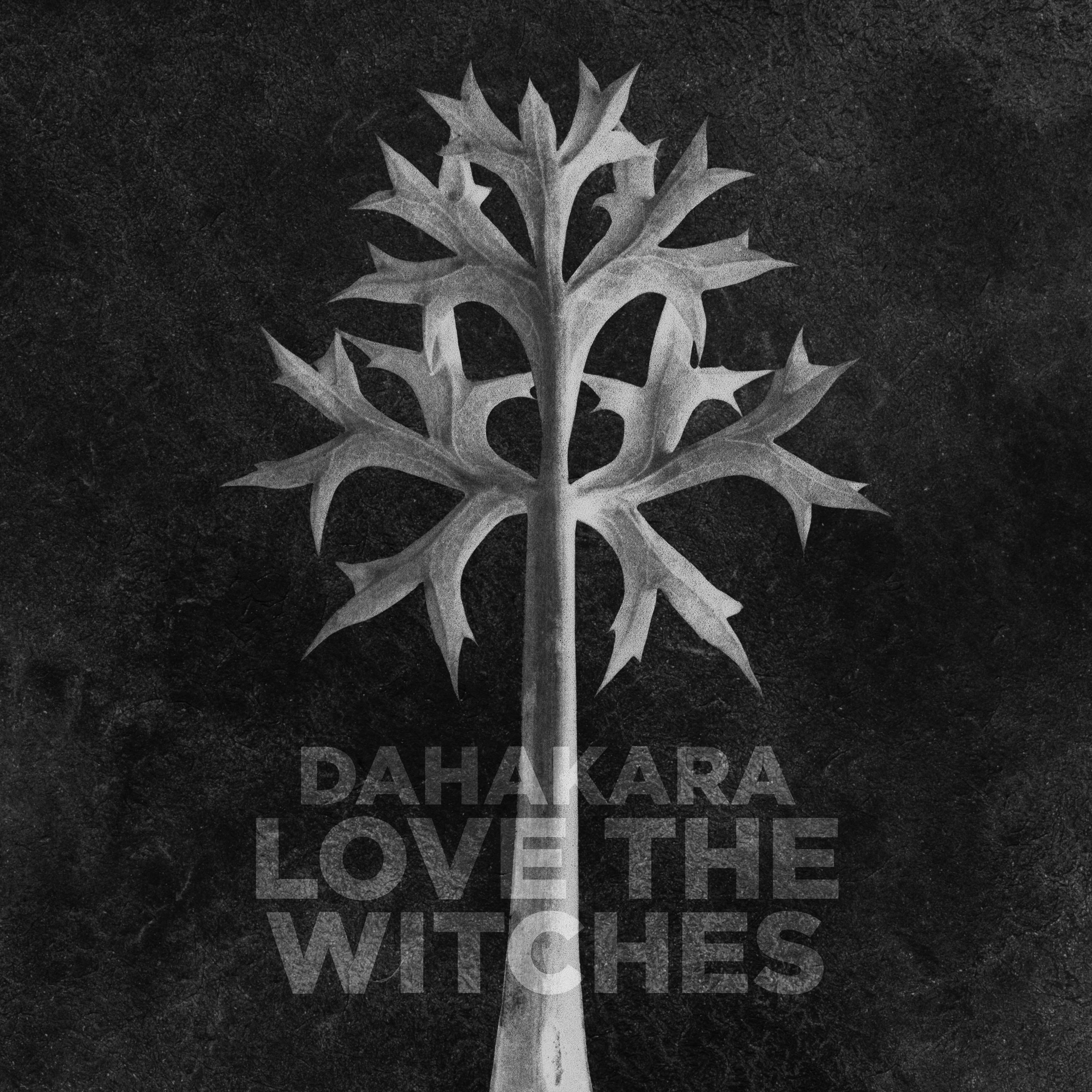 Love the Witches